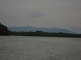 Mount Pulai from Pulai river.JPG