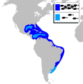 19:59, 25 azaroa 2010 bertsioaren iruditxoa