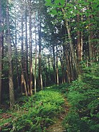 NFS Trail, Moon Lake Park, Plymouth Township, September 2014.jpg