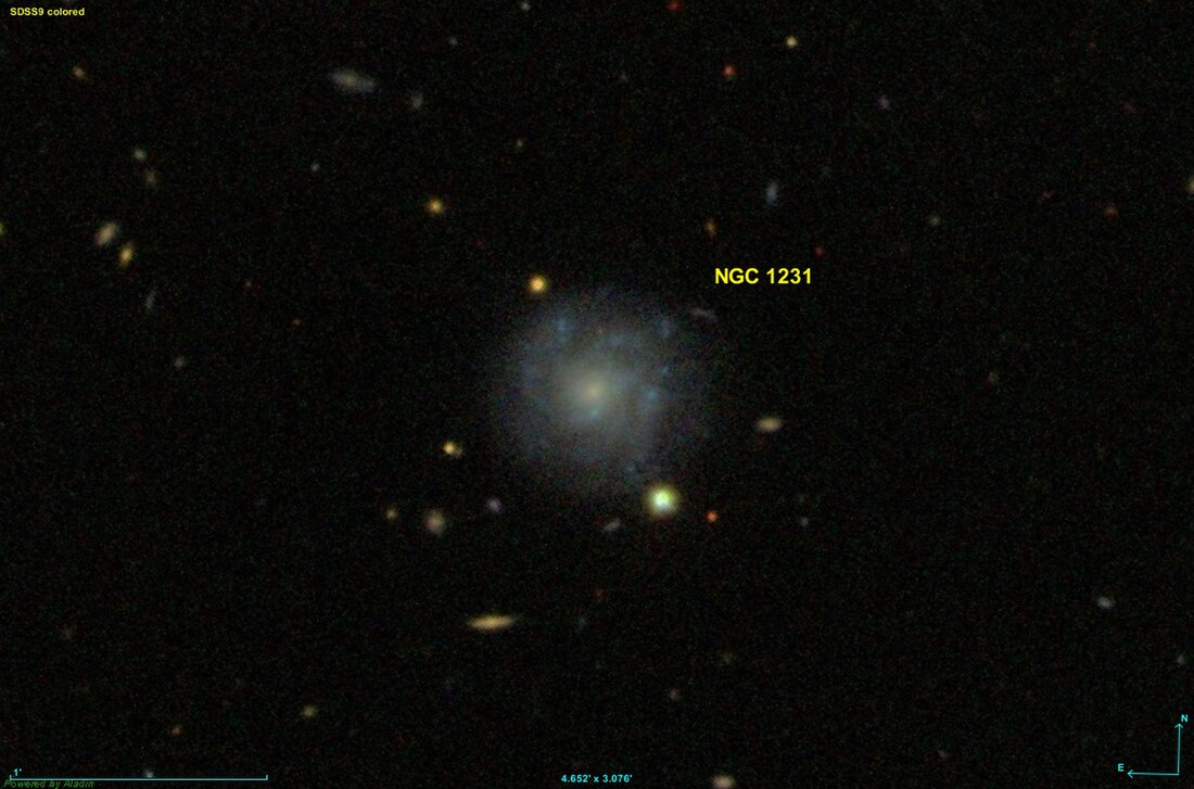 NGC 1231