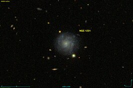 NGC 1231