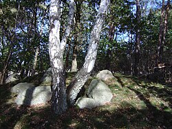 NLD Great Stone Grave Gohlau 2.jpg