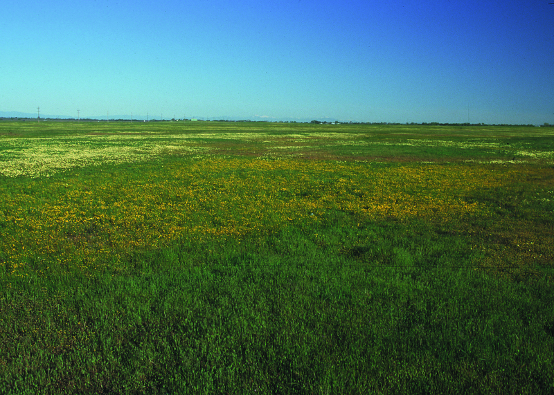 File:NRCSCA01043 - California (703)(NRCS Photo Gallery).tif