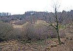 Naturschutzgebiet Orchideenwiese bei Heintjeshammer