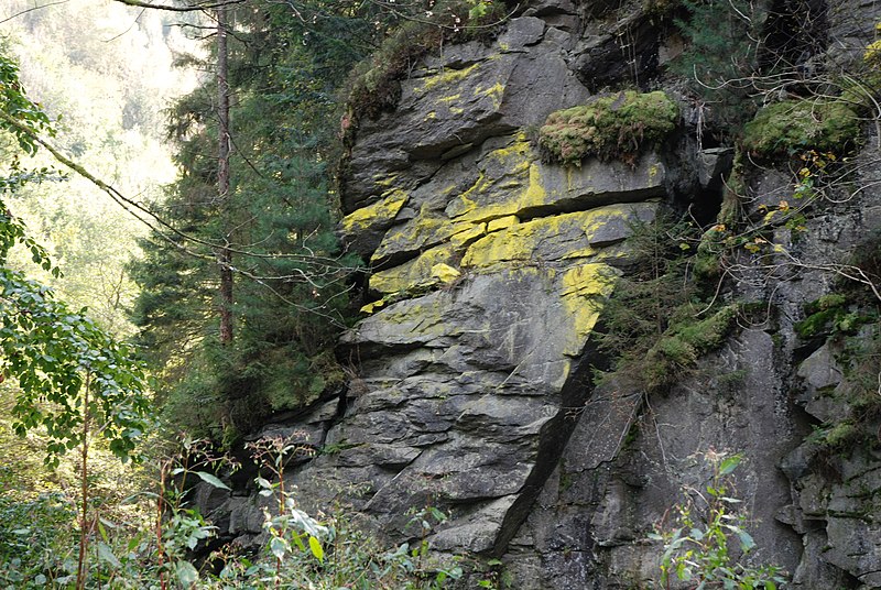 File:NSG Rannatal Felsen Flechte 20091003.jpg