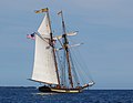 Pride of Baltimore II vor der Küste Lunenburgs