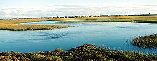 <span class="mw-page-title-main">Seal Beach National Wildlife Refuge</span> Wildlife refuge in California