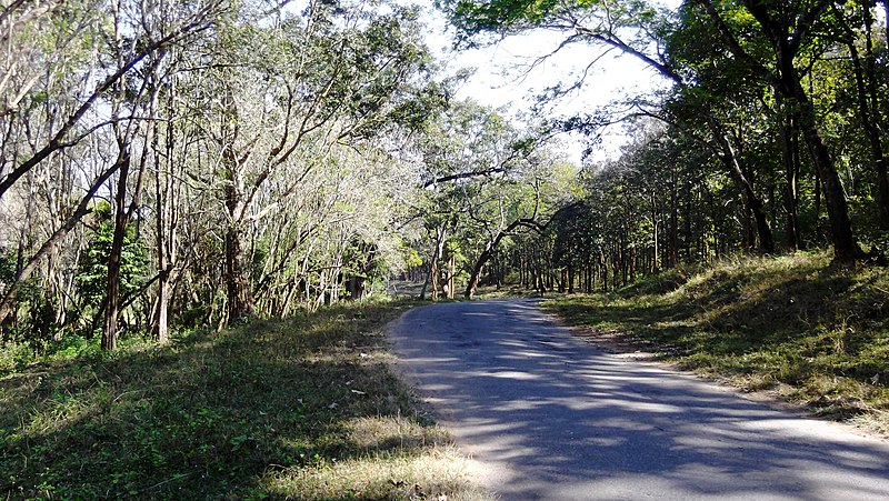 File:Nagarhole Tiger Reserve, Karanataka - panoramio (2).jpg