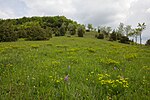 Apfelberg (Naturschutzgebiet, Main-Tauber-Kreis)