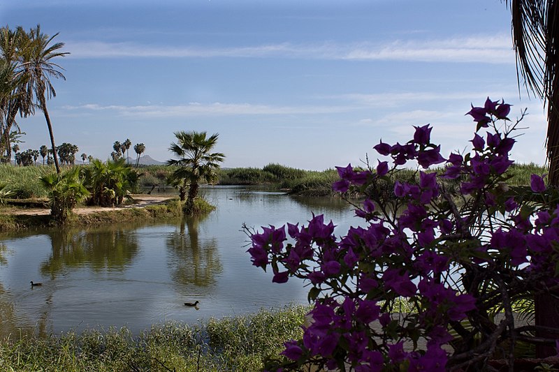 File:Near Holiday Inn, San Jose del Cabo - panoramio.jpg