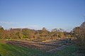 de: Neuer Botanischer Garten Marburg, Systematische Abteilung im Winter