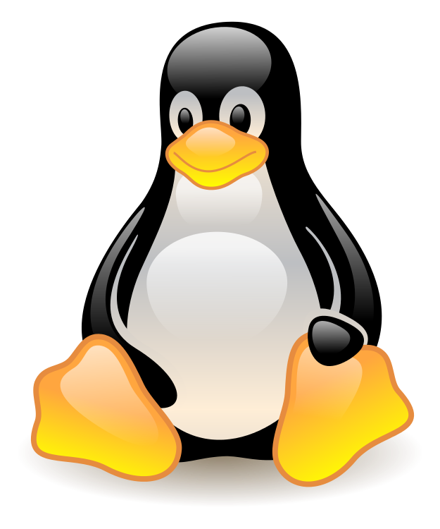 Formateur Linux