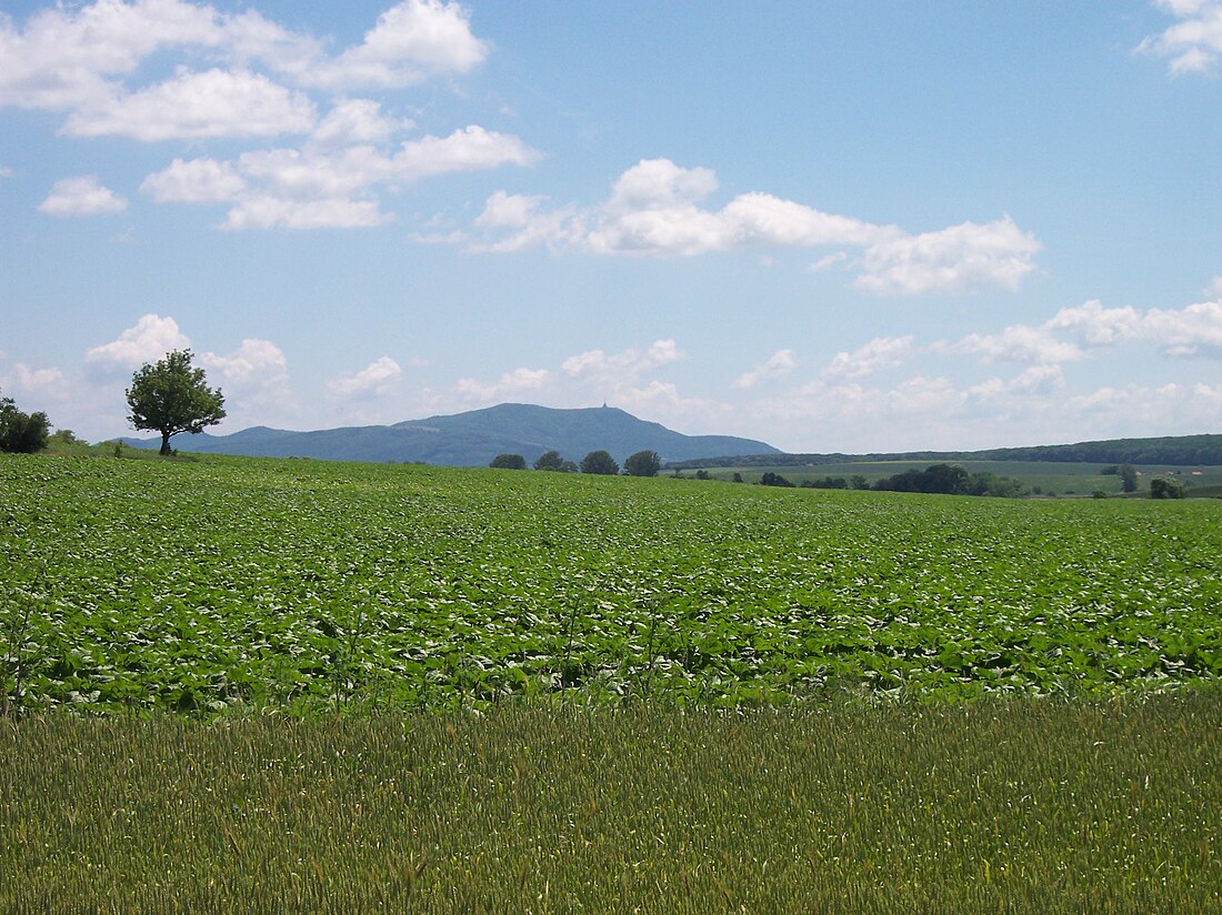 Nitranská pahorkatina