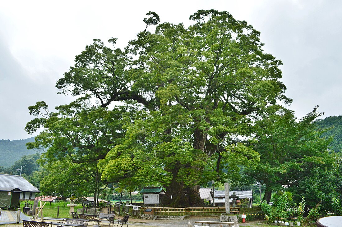 能勢町