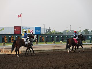 <span class="mw-page-title-main">Northlands Park</span>