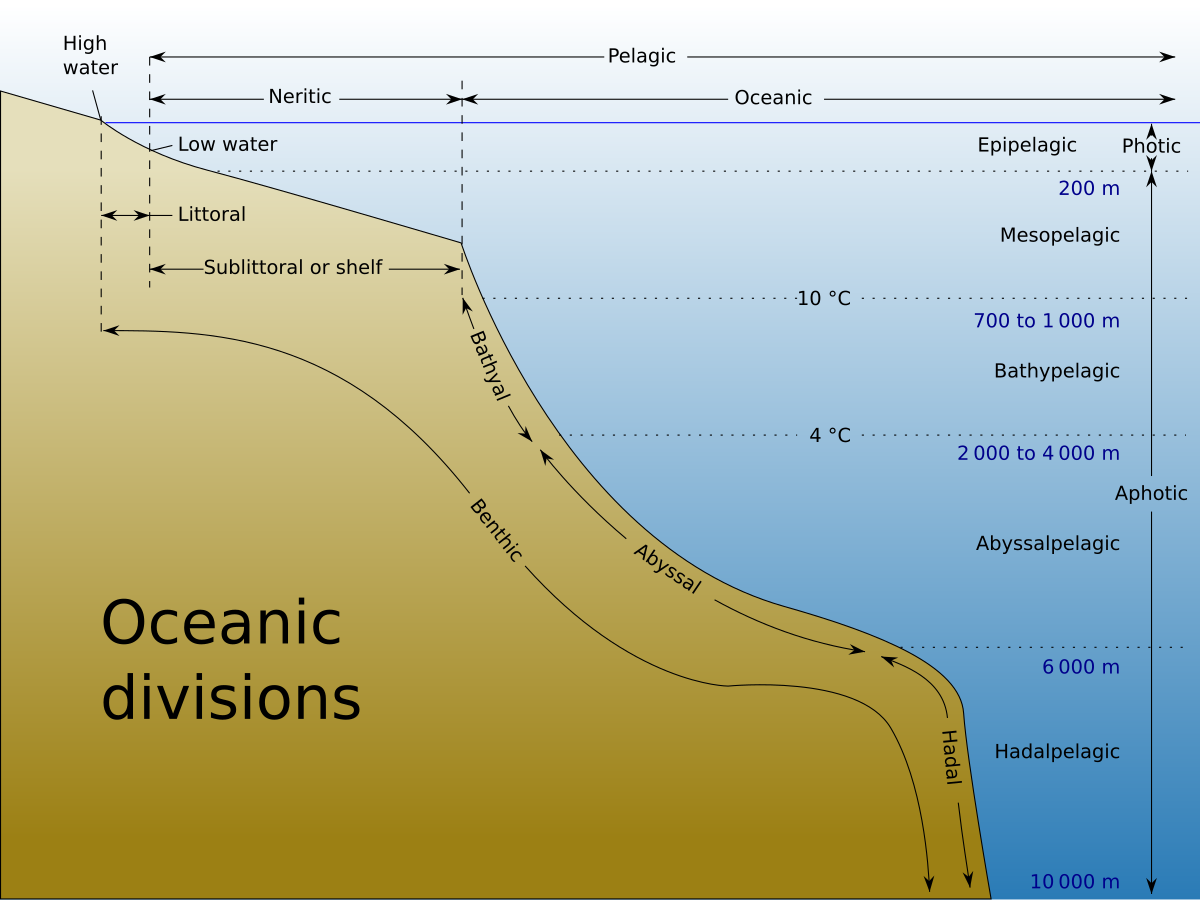 Ocean Life Zones Chart