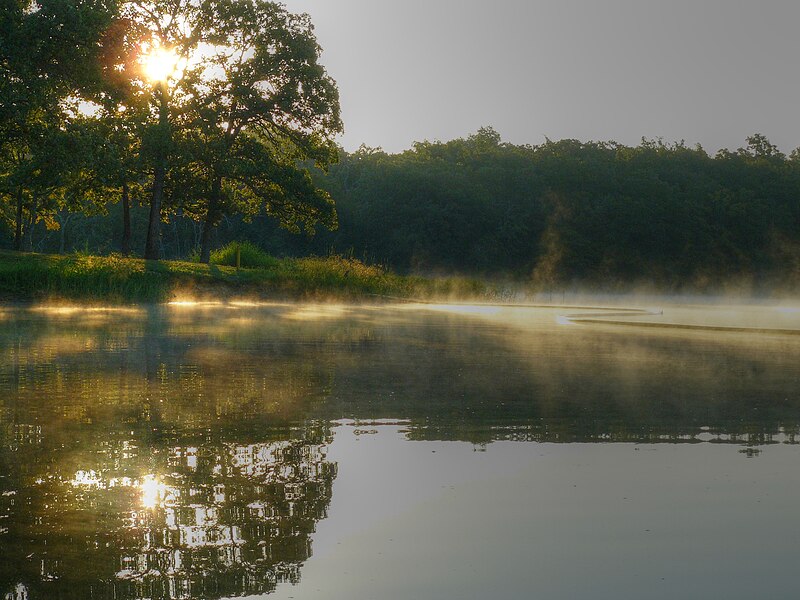 File:Okmulgee State Park Good Morning Sunshine.jpg