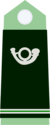 Tecnici forestali operativi OR-9a.png