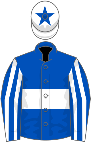 <span class="mw-page-title-main">Winter Power</span> Irish-bred Thoroughbred racehorse