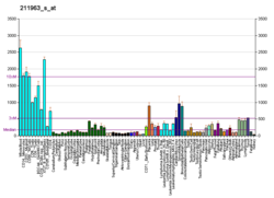 PBB GE ARPC5 211963 s fs.png'de