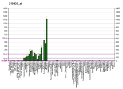 PBB GE SULT4A1 219425 at fs.png