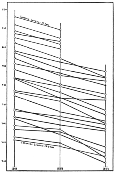 File:PSM V78 D538 Change in the frontal breadth of carcinus.png