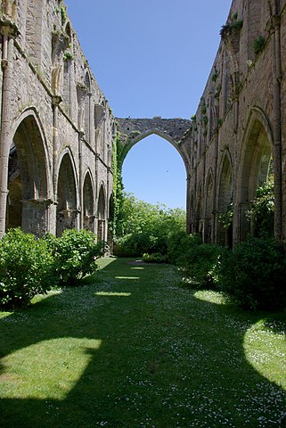 Ruins of the nave