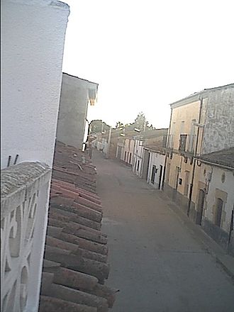 Palencia negrilla.jpg
