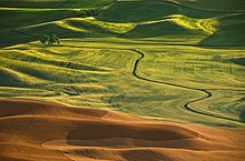 View of the Palouse at Steptoe Butte Palouse - American Tuscany.jpg