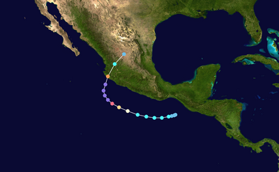 Meteorological history of Hurricane Patricia