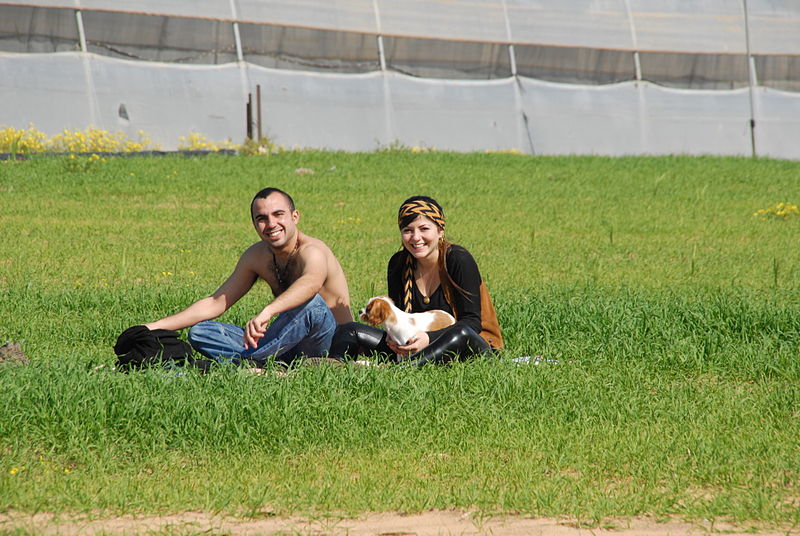 File:PikiWiki Israel 29417 Agriculture in Israel.JPG