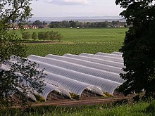 Polytunnel Balhungie.jpg