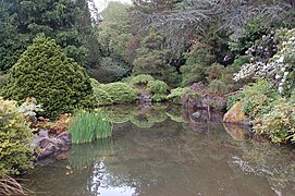 A pond at the Kubota Garden