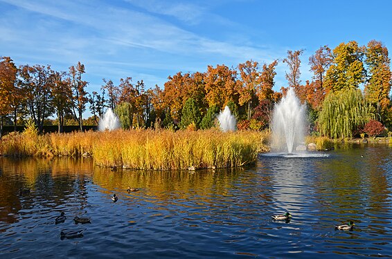 Pond in Mezhygirya Park, Ukraine, Kyiv