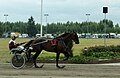 * Nomination: Akseli Lahtinen driving Fire Leader in Pori harness racing track. --kallerna 14:44, 20 December 2011 (UTC) * * Review needed