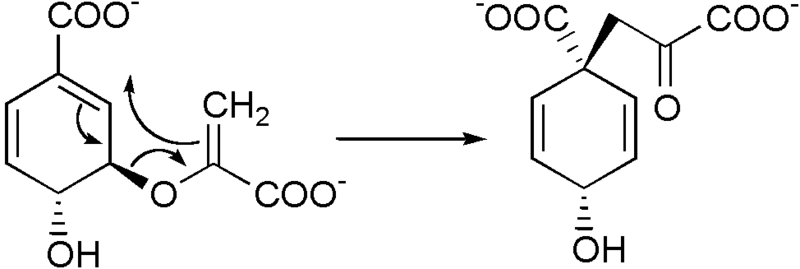 File:Prephenate biosynthesis.png