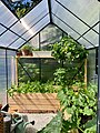 Private greenhouse.jpg