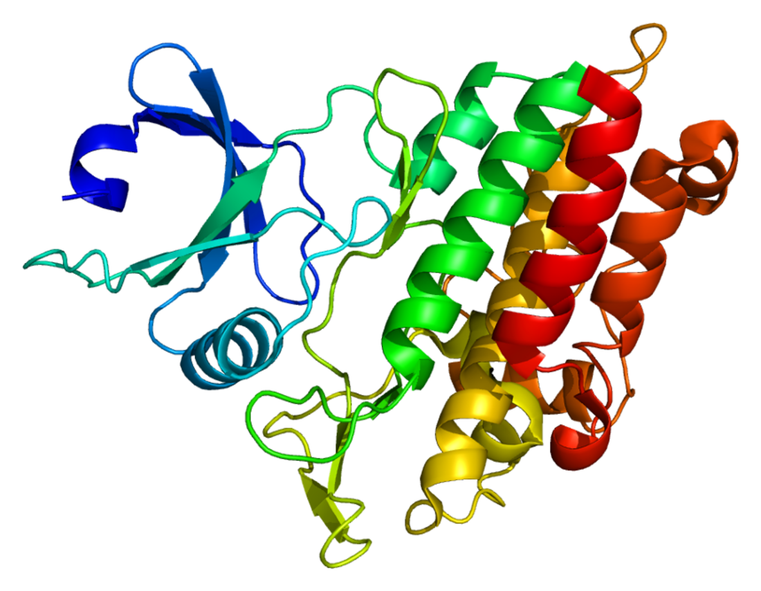 ACVR1B