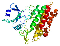 Ақуыз ACVR1B PDB 1rw8.png