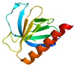 Белок ARHGAP9 PDB 2p0d.png