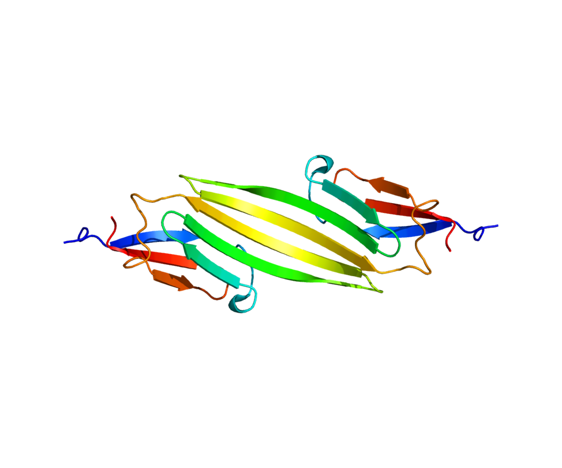 File:Protein CRYAB PDB 2KLR.png