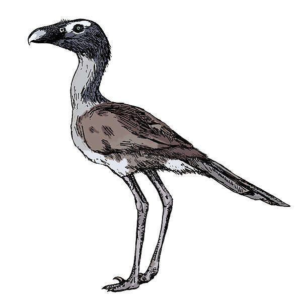 Life restoration of P. lemoinei