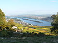 Vignette pour Rüdesheim am Rhein