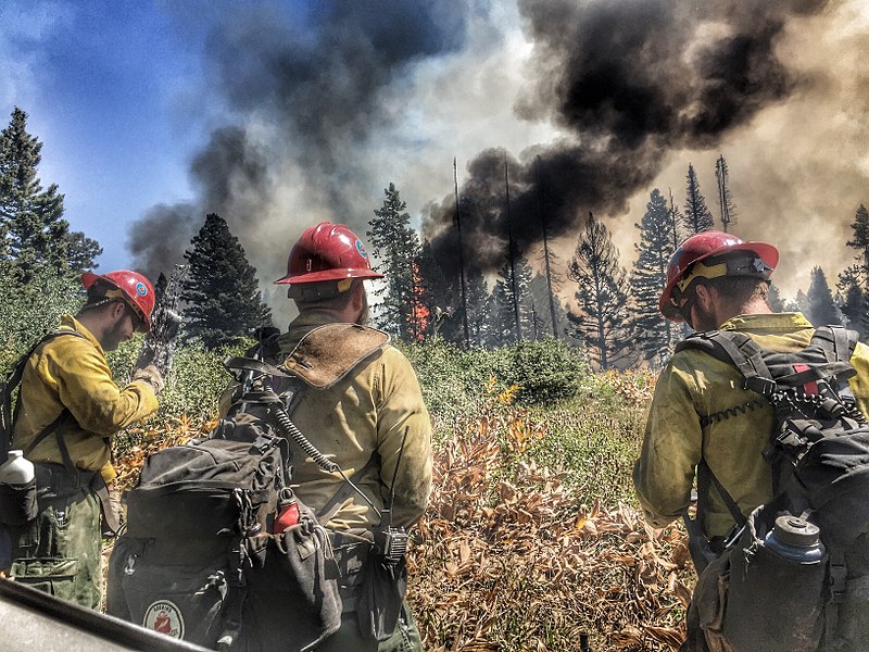 File:Redding Hot Shots Pioneer Fire (28132521943).jpg