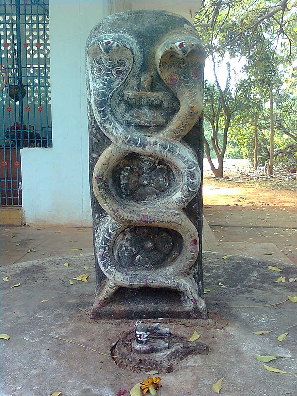 A relief of a naga or serpent deity in Gudilova, Andhra Pradesh, India