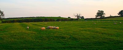 Ridge and Furrow in Grendon, Northamptonshire Ridge&Furrow.JPG