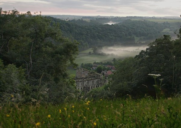 Rye Valley at Rievaulx Abbey