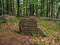 image=https://upload.wikimedia.org/wikipedia/commons/b/b0/Ritterstein_252_Ringwall-Bergfestung.JPG