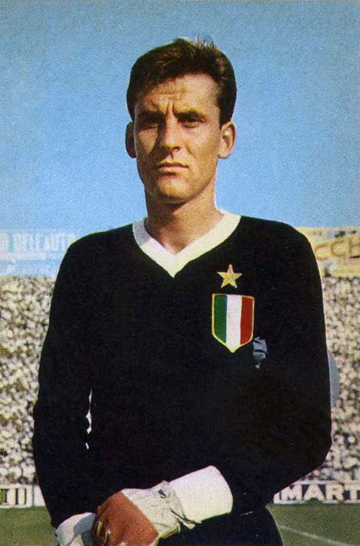 Roberto Anzolin, Juventus 1961-62