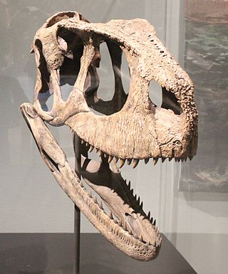 <i>Rugops</i> Genus of dinosaur